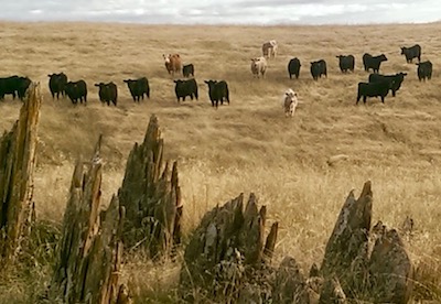 Deer Creek Hills